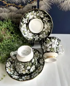 未使用Royal Albert ボタニカルフラワー カップ　ソーサー　2客セット