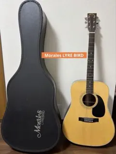 【送料込】【希少】モーリス　スペシャル　MORRIS　旧縦ロゴ　Sヤイリ　整備済 送料込】【希少】モーリス スペシャル MORRIS 旧縦ロゴ Sヤイリ 整備済