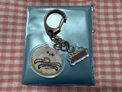 SKZOO ジニレット　ランダムアクリルキーホルダー