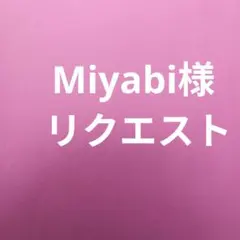 Miyabi様 リクエスト 2点 まとめ商品