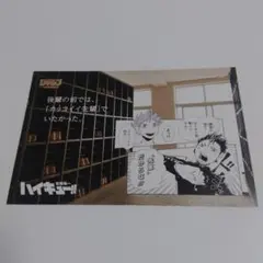 【送料込】ハイキュー！！ セイシュン モーメント ポストカード 日向 西谷