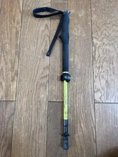 Item thumbnail for item c4fb9dd3-179c-48e4-9d9f-f9eac53dc554