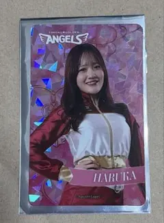 東北ゴールデンエンジェルス HARUKA カードのサムネイル