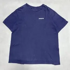 patagonia パタゴニア　バックロゴ　プリントTシャツ L