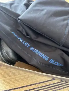 Item thumbnail for item 35a0a5cd-fa99-4aa8-8f77-3a56ceabed98