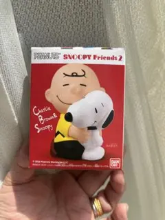 ‼️値下げ‼️チャーリー・ブラウン & スヌーピー フィギュア