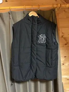 Item thumbnail for item 1c2e45a3-257c-4a3d-8295-68373d193b26