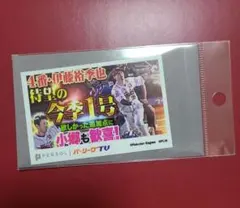 楽天イーグルス/伊藤裕季也選手/パテレサムネイルステッカー