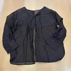 黒のシアーシャツ ボタン付き