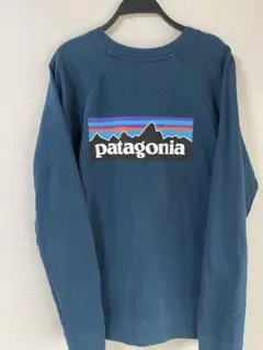 Patagoniaパタゴニア クルーネック　スウェット　トレーナー　Mサイズ