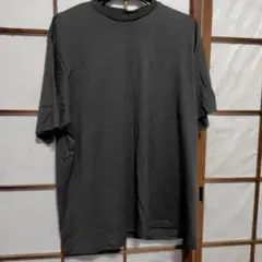 ‼️秋のセール‼️PUNYUS グレー 半袖Tシャツ 未使用のサムネイル