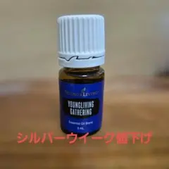 【新品未開封】ヤングリヴィング ウィンターグリーン 15ml 4本セット 新品】ウィンターグリーン 15㎖ ヤングリビング 精油 アロマ - メルカリ