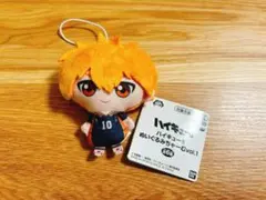 ハイキュー!! ぬいぷりけmini 日向翔陽 ぬいぐるみマスコット
