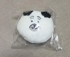 ナガノ　くま　くじ　パグ　E賞　ふわもち