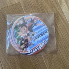 ハイキュー コレクション缶バッジ第6弾 烏野高校（レア）