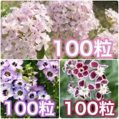 ルカ様 リクエスト 4点 まとめ商品