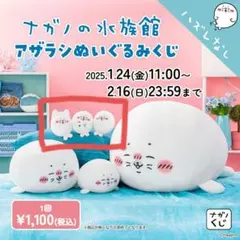 ナガノの水族館 アザラシくじのD賞3種セット