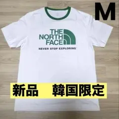 正規品★新品M☆ノースフェイス ビッグロゴ Tシャツ 韓国 ホワイト グリーン