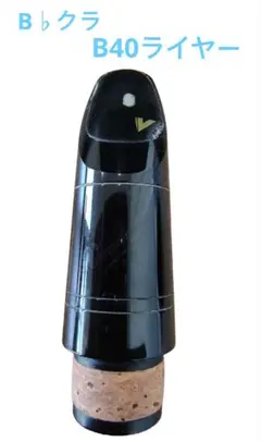 Item thumbnail for item d32663cf-32eb-4d45-861a-2b25cbfcbb84