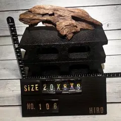 北海道産 天然流木 アクアリウム 沈水確認済み NO.130 - メルカリ