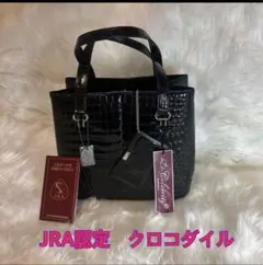 JRA クロコダイル シャイニング ボストンバッグ エキゾチック 
