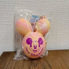 ディズニー 40周年 バッグチャーム