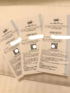 2026年最新】ハッピーエントリー通行証の人気アイテム - メルカリ