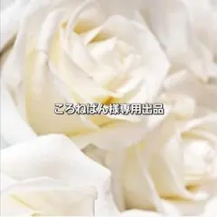 ころねぱん様専用出品