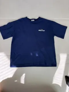 Item thumbnail for item 2a5029fa-a7e3-4cf2-80a5-e01ca507147b