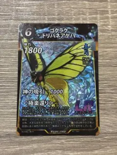 m16379515349_1.jpg?1768053374