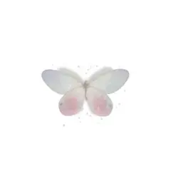 micona様専用ページ