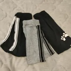 パンツ 3点セット 黒 グレー肉球80