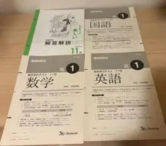2026年最新】進研模試解答解説の人気アイテム - メルカリ