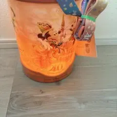 ポップコーンバスケット　ドリームゴーランド　ディズニー40周年