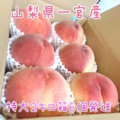 山梨の木のてっぺん桃 超特大を5個詰めて発送 人気商品 - メルカリ