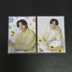 澤本夏輝 SUNFLOWER フォトカ