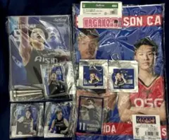 【貴重】シーホース三河　グッズセットのサムネイル