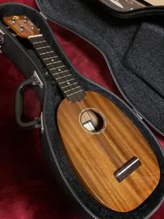 Item thumbnail for item 4dd700ae-67ea-41a5-8c51-98bf2ea696aa