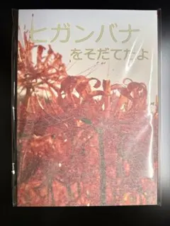 2025年最新】リコリコ お疲れ様本の人気アイテム - メルカリ