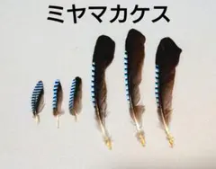 Item thumbnail for item 1c0af581-8969-4de2-a318-1b14ae0abc69