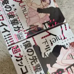 カクレケダマ様 リクエスト 2点 まとめ商品