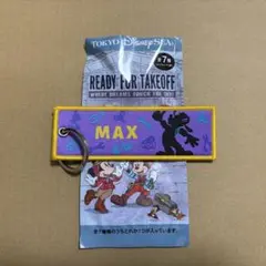 ディズニー ランダム キーチェーン マックス