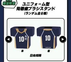 ハイキュー!! マツキヨ ココカラ 陶器歯ブラシスタンド　日向翔陽