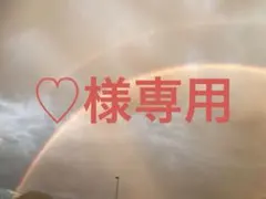 ︎︎︎︎♡様専用ページ