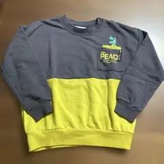 Item thumbnail for item c3befae7-5c53-40fa-be96-feccf63ee81e