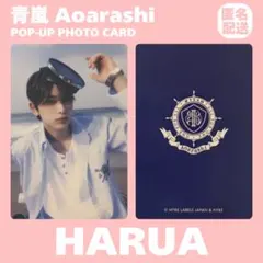 &TEAM 青嵐(Aoarashi) トレカ HARUA - メルカリ