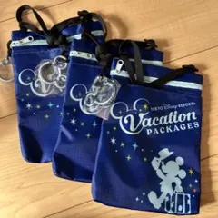 東京ディズニーリゾート Vacation Packages ポーチ　3個セット