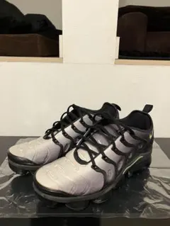 Nike Air VaporMax Plus