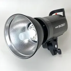 Item thumbnail for item 28af7b30-ef68-42cd-9599-75dbdc68b3bc