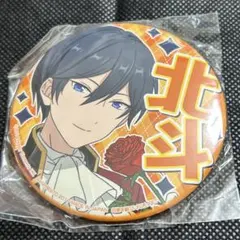 氷鷹北斗 応援缶バッジvol.1 あんさんぶるスターズ! あんスタ　プライズ